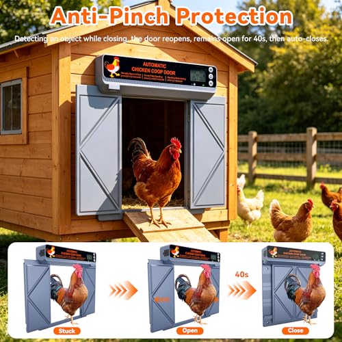 Large Automatic Chicken Coop Door Solar Powered, Anti-Pinch Auto Chicken Door with Timer, Light Sensor, LCD Display Solar Chicken Coop Automatic Door with Range 50M Remote Control