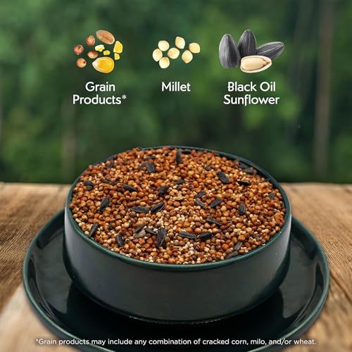 Morning Song Dove & Ground Feeding Wild Bird Seed, 12 lb | Dove, Quail & Pigeon Wild Bird Food for Outside Feeders - size: 12 Pound (Pack of 1)