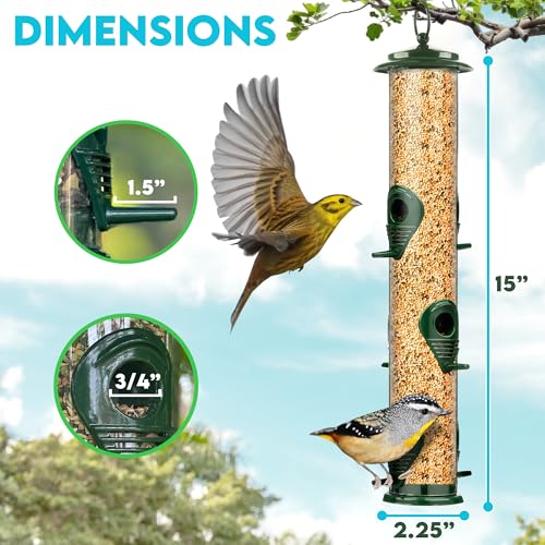 Gray Bunny Squirrel Proof Bird Feeders for Outdoors 6 Port Metal Tube | Bird feeder squirrel proof, locking lid & adjustable hanger, chew-proof, weather resistant, easy clean - color: Green