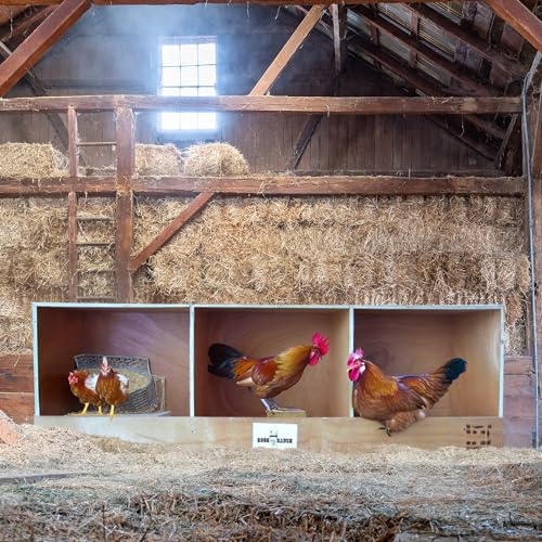 Rugged Ranch 4-Pack Triplex 36"x12"x12" Triple-Compartment Hen Nest Cubbies for 12 to 24 Hens - Wooden Chicken Coop Accessories for Interior Use, Furniture-Grade Wood, Easy Assembly