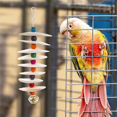 2 Pack Bird Toys with Cuttlebone, Parakeet Toys, Bird Beak Grinding Stone, Cage Accessories for Parakeets, Cuttlefish Bone for Budgies, Cockatiels, Lovebirds, Green Cheeks, Small to Medium Birds - size: Large