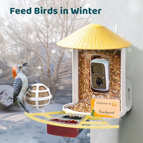 NETVUE by Birdfy Pro Smart Bird Feeder with Camera Solar Panel, Instant Arrival Alerts, Live Stream & Night Vision for Outdoors & Backyard Hummingbird, Cardinalis & Oriole Watching, Ideal Gifts,Yellow - color: Yellow, style: Pro