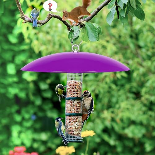 13" Bird Feeder Rain Cover,Bird Feeder Dome,Hummingbird Feeder Guard, Proof Bird Feeders Baffle,Smart Birds Feeder's Umbrella (Purple),2Pack - color: Purple, size: 13Inch / 2 Packs