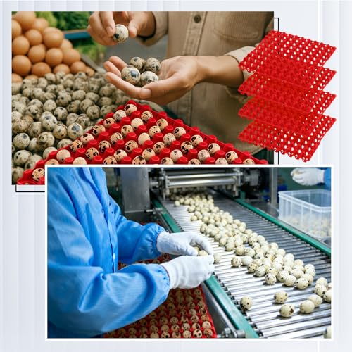 Teenyyou 10 Pcs 90 Egg Plastic Trays Quail Egg Flats Holder for Quail Pigeon Dove Bird Flat Carton (Red) - color: Red