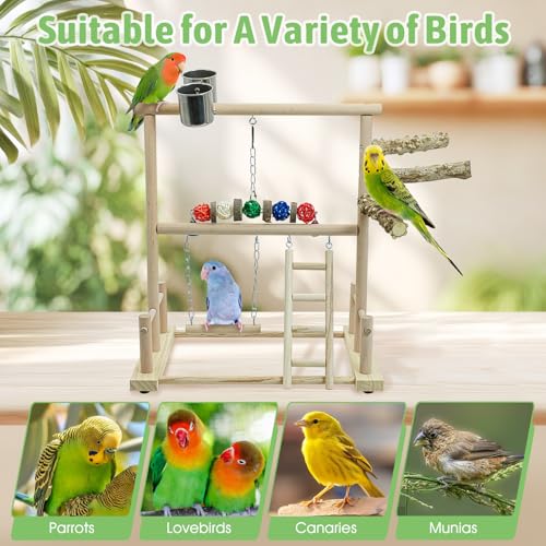 kathson Bird Play Stand Parrot Perch Stand Natural Wood Bird Playground Playstand for Cockatiel Conures Parakeet Parrots Budgie Lovebird Finch Small Birds