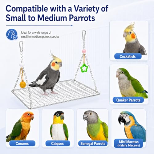 Bird Swing for Parakeets – Stainless Steel Hanging Bird Perch Toy, Fits Bird Cages, Compatible with Budgies, Lovebirds, Cockatiels, Quaker Parrots, Conures, Caiques, Medium Parrots, 11×7 in (Square L) - size: Square L