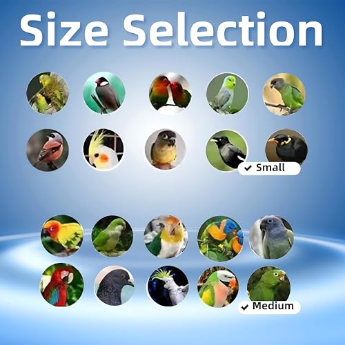 Hands-Free Bird Harnesses Suitable for Cycling and Driving Outdoors and Belts self-retracting Fanny Pack Bird Leash suirtable for Parrots Conures Cockatiels - size: small group