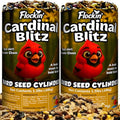 Cardinal Bird Seed Cylinders with Hole, Nutrasaff & Mealworms, 2 Pack | Cardinal Blend, Cylinder Bird Seed, Safflower, Peanuts, Mealworms & Cranberries, Attracts Various Wild Birds, USA Made 1.5lbs - size: 2-Small