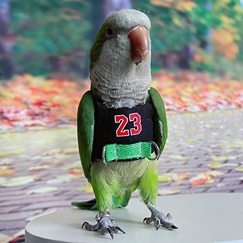 Bird Flight Harness Vest, Parrot Flight Suit with Leash, Bird Flying Clothes with Rope and Handle for Outdoor Activities (Without Leash,Cockatiel) (L, with Rope)