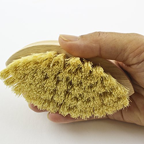Zoie + Chloe 100% Natural Plant-Fiber Soft Bristles Vegetable Brush - size: Small 4.3 INCH
