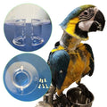 QBLEEV Parrot Anti-bite Collar, Anti-Grab Feather Lick Neck Collars | Stress-free recovery from injuries post-surgery, protective wound healing recovery collars fit lovebird macaws budgies - size: S