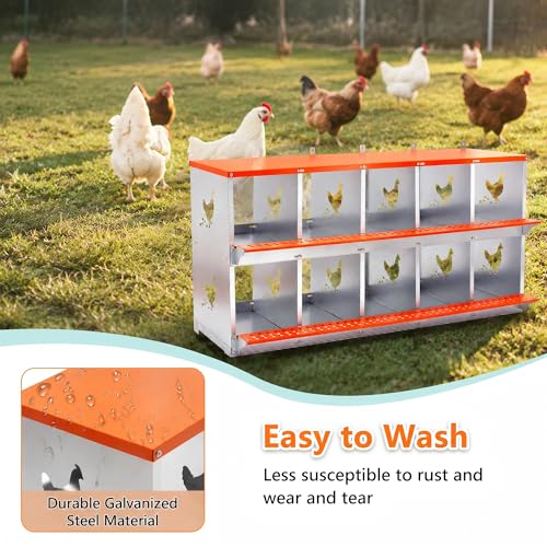 10-Bay Wall Mount Metal Nesting Box for Hens & Ducks - Galvanized Steel, Rust-Resistant, Easy Egg Collection, Tool-Free Assembly, Orange & Silver Coop Equipment with Coconut Fiber Pad - size: 53” L x 17” W x 25” H