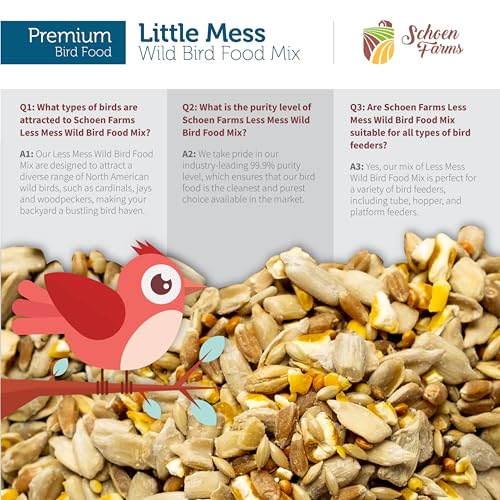Schoen Farms Little Mess Wild Bird Food Mix – 10 lb Bag – No-Waste Seed Blend with Sunflower Hearts & Millet – Clean Backyard Feed for Finches, Jays & Cardinals