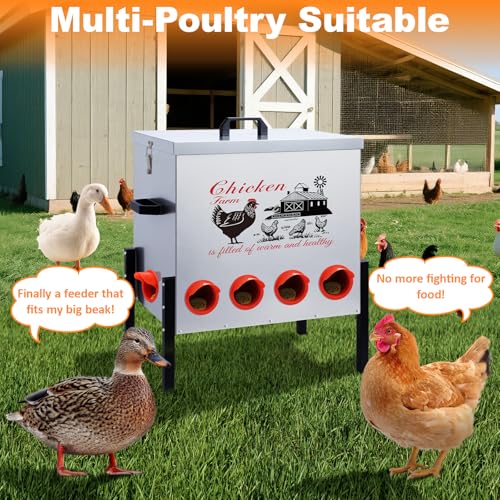 100LB Large Automatic Chicken Feeder–10 Feeding Ports No-Waste Galvanized Metal Chicken Feeder with Adjustable Legs & Locking Lid Poultry Feeder for Chickens,Geese,Ducks,Waterproof
