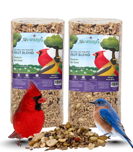 JCs Wildlife No Mess No Waste Fruit Blend Bird Seed Cylinder with Hole, Hull Free Wild Bird Food for Outside Feeders, Cardinals Woodpeckers Chickadees Nuthatches Wrens, Made in the USA, 2 lb Pack of 2 - size: 2 Pound (Pack of 2)