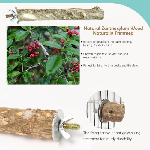 4-Piece Bird Perch Set for Cage, Natural Wood Bird Cage Accessories, Hammock Swing, Parrot Climbing Standing Branches, Durable Cockatiels,Conure,Lovebird, Budgie Toys