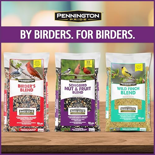 Pennington Songbird Nut & Fruit Blend Wild Bird Seed for Outside Feeders | Songbird bird seed for outside feeders, advanced nutrition formula with real fruit, nut & seeds, birdseed for wild birds