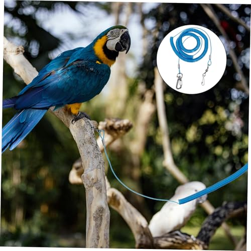 TOYANDONA 2pcs Parrot Training Leash Elastic Flying Rope for Safe Outdoor Activities Comfortable for Birds for Parrot and Training