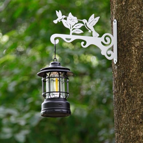 Elegant Bird Pattern Wall Hooks - 10/12/14 Inch Metal Plant Hangers for Indoor & Outdoor - Rust-Resistant Bracket for Plants, Feeders, Chimes, Lanterns (2, White, 10 inch) - color: White, size: 10 Inch