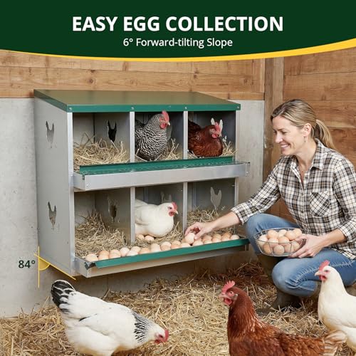 6-Compartment Roll Away Chicken Nesting Box with Legs,Lid & Perch | Pre-installed nuts, Fast assembly, galvanized steel, rounded edges, sunshade cloth + vents, wall mount or floor use