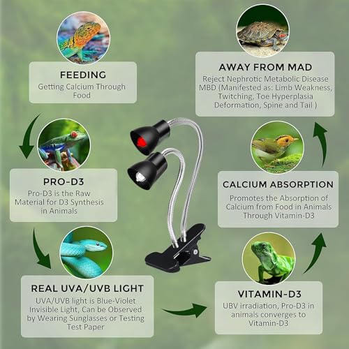 Heat Lamp for Reptile,UVA UVB Light for Turtle,Bearded Dragon Basking Light Bulbs,Dimmable 360°Gooseneck UV Heating Lamp W/ G9 Mini Halogen Bulbs 60W (White*2，Red*2) for Tortoise/Snake/Lizard