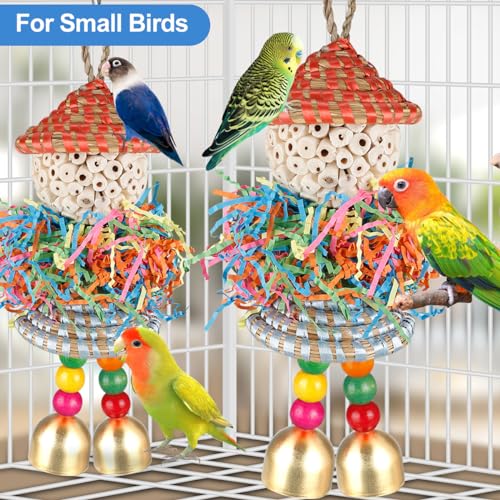 BBjinronjy 2PCS Bird Toys Parrot Foraging Shredder Hanging Toys Sola Balls with Bell for Small Parrots Parakeets Cockatiel Conures Love Birds Budgie Cage Toy - size: Medium D