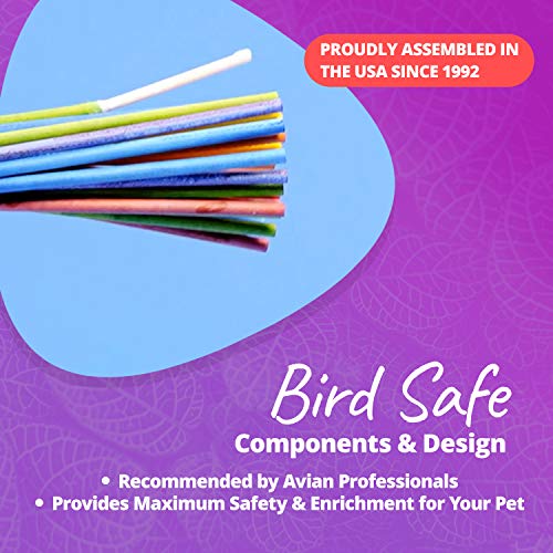 Super Bird Creations - SB301 Chewable Paper Party Bird Toy with Colorful Lollipop Sticks - Ringnecks Medium Conures Parrot - Chew Enthusiasts - Enriching Bird Toys for Medium to Large Birds - 4-Pack - size: Large (Pack of 4)