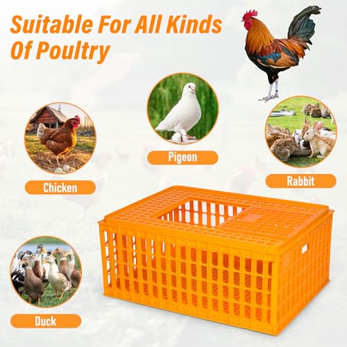 lukar 1 Piece Poultry Carrier Crate Heavy Duty Chicken Transport Cage | Plastic Chicken Carrier Crates Transport Box for 10-13 Adult Chickens Duck Goose Birds, 29.5 x 21.7 x 13 Inch