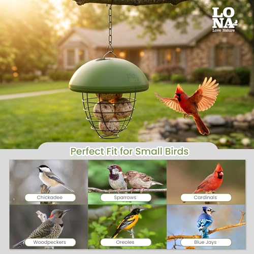 LONA Suet Ball Bird Feeder Outdoor Hanging Fat Ball Feeders with Versatile Mount Durable Weatherproof Washable Transparent Tube Wire Steel Metal Feeder for Wild Birds - style: Style2-Normal Cage