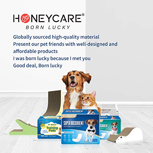HONEY CARE All-Absorb Disposable Female Dog Diapers Extra Small Size, Improved, Super Absorbent, Breathable, Wetness Indicator, 50 Count (Pack of 6) - size: X-SMALL(Pack of 6)
