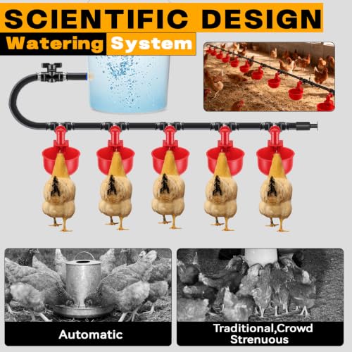 Complete Automatic Chicken Watering System with Quick-Connect Large Cups, 32.8ft Pipeline & Float Valve – 10 Red Cups, Removable & Washable