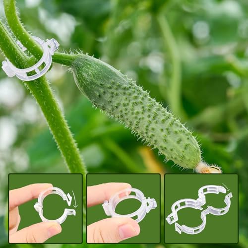 Anyumocz 400 Pcs Plant Support Clips, Snap-On Trellis Clips for Climbing Plants, Tomato & Grape Vine Support, 1" Inner Diameter Plastic Garden Clips to Grow Upright (White)