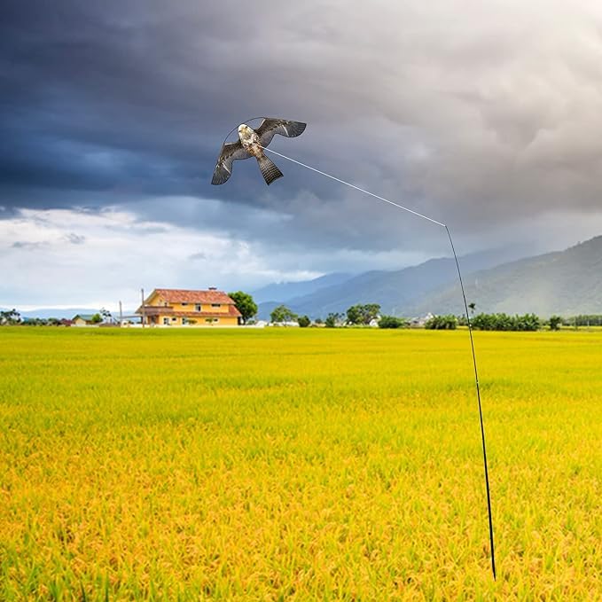Bird Scare Flying Kite with 4m Pole Has The Effect of Scaring Birds-Type B | Ideal for gardens farms and docks | Keeps birds geese and seagulls away |A kind of hawk deterrent - color: grey