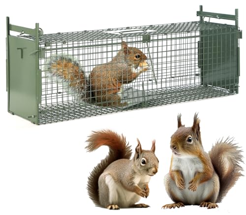 Timaze 26" Foldable Double-Door Live Animal Traps Cage | Live Animal Trap with Pedal Triggers,suitable for Kittens,Squirrels,Rabbits weighing up to 5.5 pounds