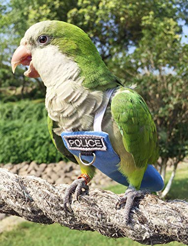 Poli(L) Bird Flight Suits & Diapers - Reusable, Waterproof Pet Bird Supplies