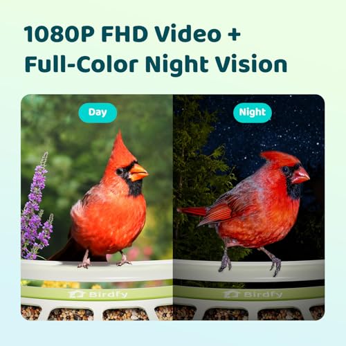Metal Smart Bird Feeder with Camera Solar Powered, 1080P HD - style: AI (7-Day Trial)