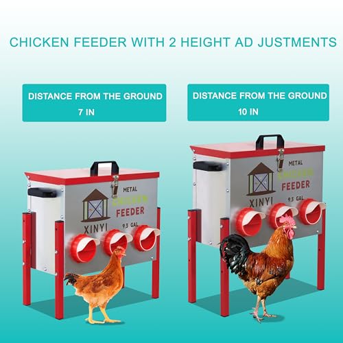 XINYI 9.3 Gallon Automatic Chicken Feeder, 6 Ports Gallon Chick Feeder No Waste with Adjustable Legs, Rodent Proof & Weatherproof Metal Raised Poultry Feeder - size: 6 ports with legs