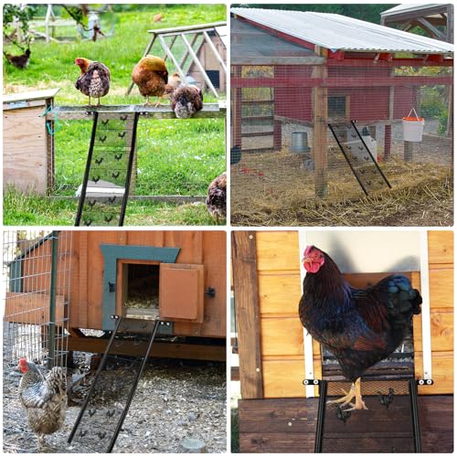 Chicken Coop Ramp, Chicken Ladder & Coop Accessories, Ladder Length Adjustable for Henhouse, Coop Steps for Feet Problem or Cannot Fly Chickens, Heavy Duty Sturdy,Corrosion-Resistant, and Waterproof