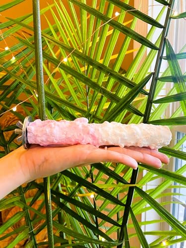 Polly's Edible Cuttlebone Calcium Bird Cage Perch for Budgies, Parakeets, Amazons, Blue & Golds, Macaws and Cockatoos.… (Strawberry, Medium) - color: Strawberry, size: Medium