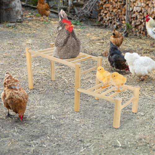 Chicken Perch - Roosting Ladder for Chicken Coop - Jungle Gym & Toys for Poultry