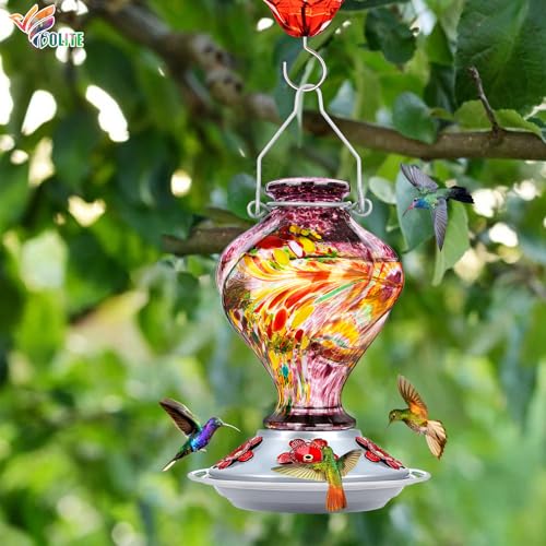 Glass Hummingbird Feeders for Outdoors Hanging with ant Moat, Purple | Hand Blown, 24oz, 5 Bee-Proof Ports, 360° Perch, Leak-Proof, Easy Refill & Clean, Garden Decor, Gifts for Mom Dad Women Men - color: Purple Raspberry