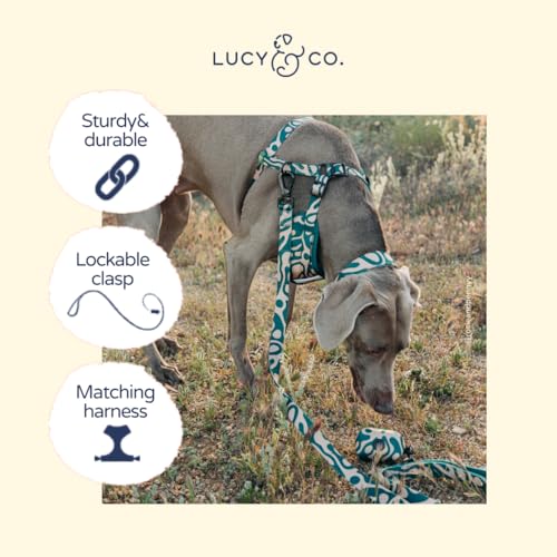 Lucy & Co. x Parks Project Geyser Dog Leash, Durable Matching Dog Lead with Heavy Duty Hardware, Small - color: Geyser, size: Small