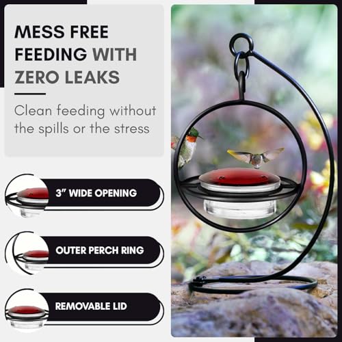 Hummingbird Feeder for Outdoors Hanging, 3.4 OZ Hummingbird Feeders, Glass Bowl with 4 Feeding Ports, Leak Proof Lid & Circular Perch, Bird Feeder (1, Black) - color: Black