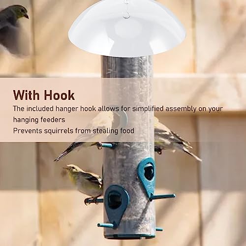 Bird Feeders Protective Dome Cover - Durable Acrylic Hanging Bird Feeder Cover - Large Diameter - with Hook - Weatherproof and Squirrel-Proof