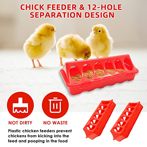 Chick Brooder Box Starter Kit with Chick Perch,flip Top Poultry Feeder, 1l Chick Feeder and Waterer Kit, Baby Chick Starter Home Kit, Baby Chicken Supplies for Baby Chick, Duck and Quail - color: Chick Brooder Box Starter Kit