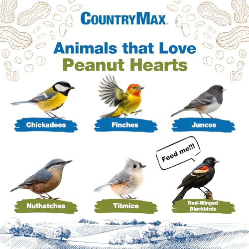 CountryMax Backyard Seeds Peanut Hearts - High-Energy Wild Bird Food, 50 lbs (50 Pounds) - size: 50 Pound (Pack of 1), style: Peanut Hearts