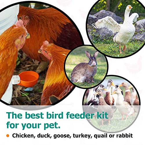 Large Chicken Waterer Cups, Heavy Duty Auto Poultry Water Cups -2Pack Green - color: Green, size: Pack of 2