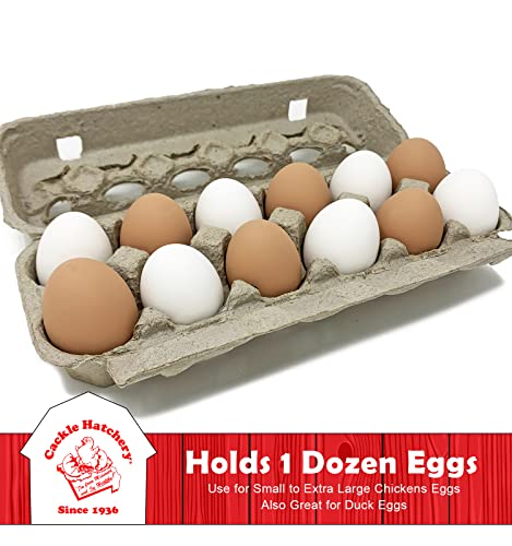 Vented Paper Pulp Egg Cartons Holds 1 Dozen Chicken Eggs (24 Pack)