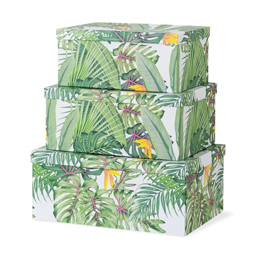 Soul & Lane - Tropical Breeze Decorative Storage Boxes with Lids, Set of 3 | Large Nesting Keepsake Boxes for Photos and Gifts, Green Jungle Leaves Palm Tree Containers, Hawaiian Beach Theme Decor - color: Tropical Breeze