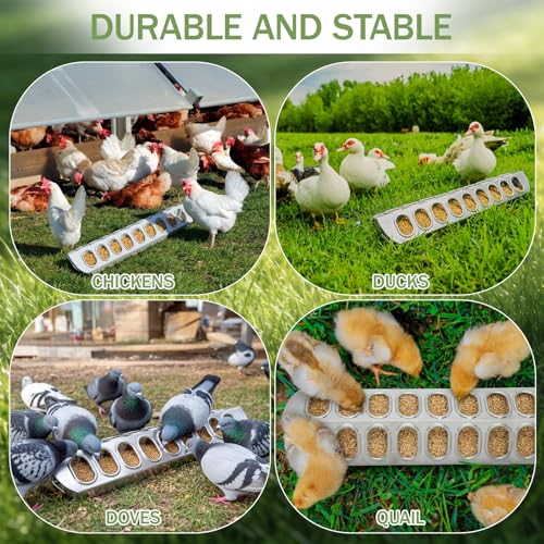 Potchen 2 Pcs Slide-top Poultry Feeder Durable Galvanized Metal Chicken Feeder Trough with Removable Top Trough Multi-Hole Tray for Pigeon Quails Duckling Birds Duck Chicken(15.5 Inch) - size: 15.5 Inch
